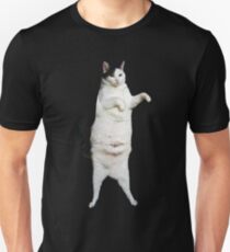 Kitty Cat Dance Unisex T-Shirt
