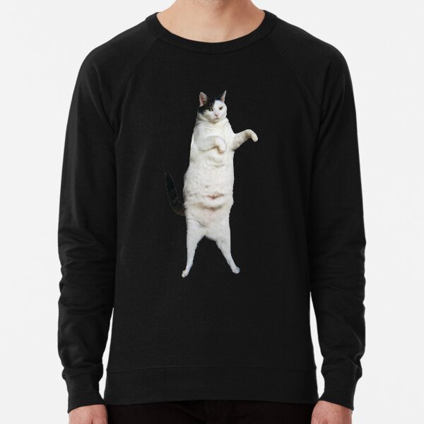 Im A Cat Sweatshirts Hoodies Redbubble