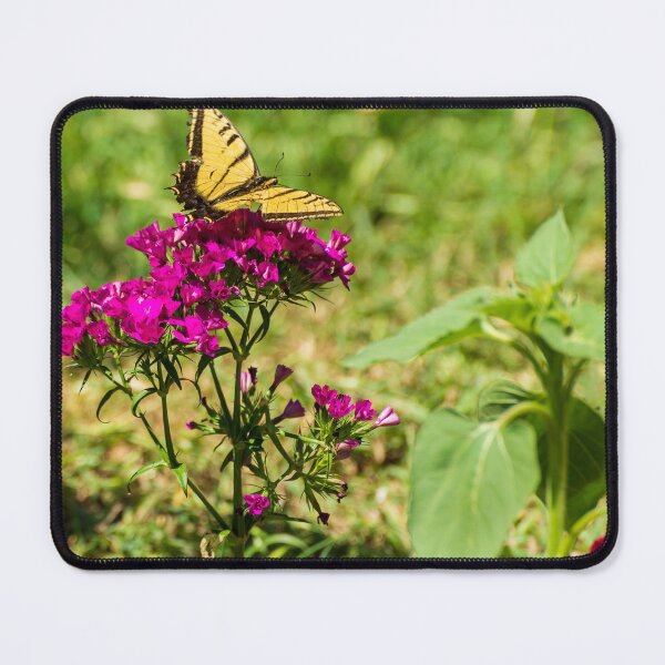 Item preview, Butterfly atop flower designed and sold by noblephoto.