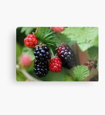You're Berry Good Metal Print