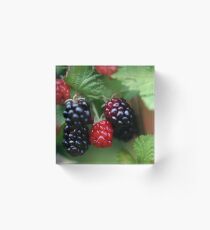 You're Berry Good Acrylic Block