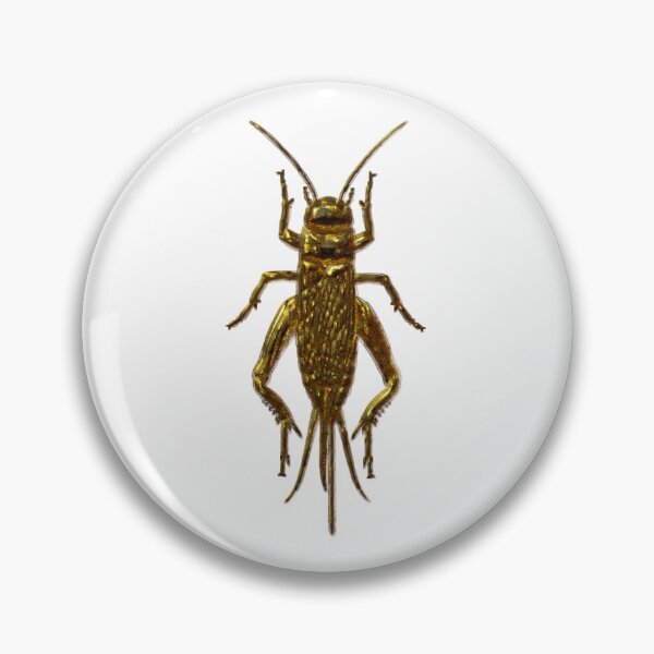 Item preview, Cricket bug designed and sold by Elonium.