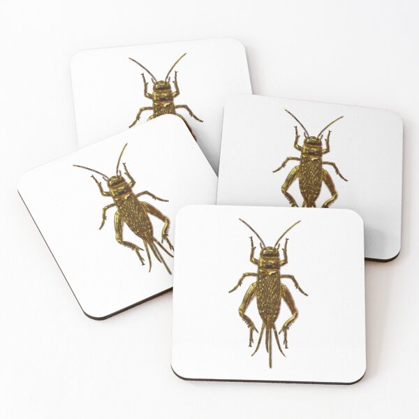 Item preview, Cricket bug designed and sold by Elonium.