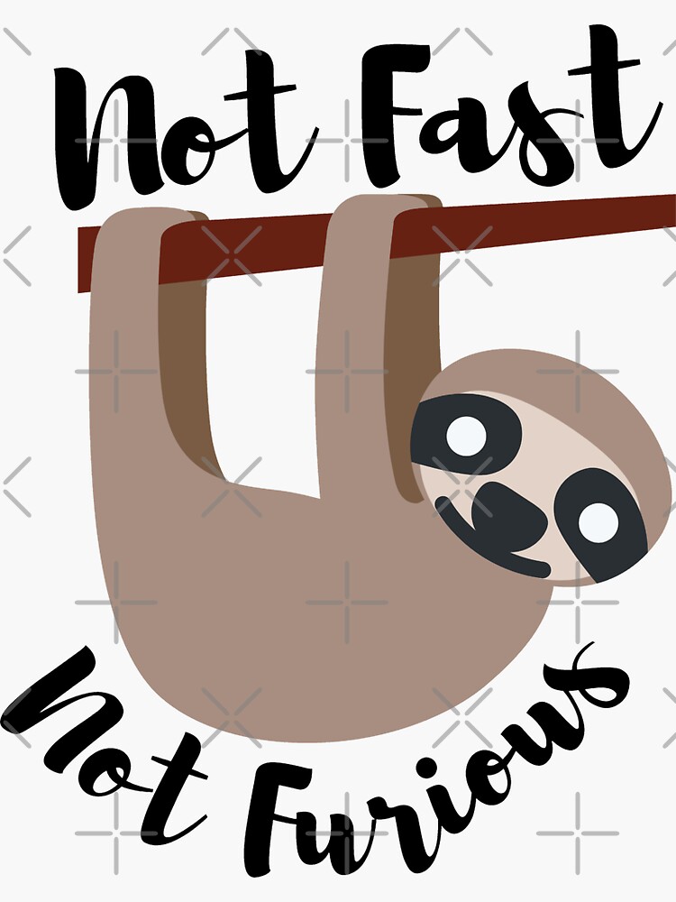 "Not Fast Not Furious, Sloths Lovers" Sticker For Sale By Your-space ...