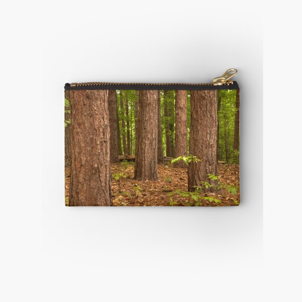 Artikelvorschau, Pine Pine Pine Everywhere © entworfen und verkauft von © Hany G. Jadaa © Prince John Photography.