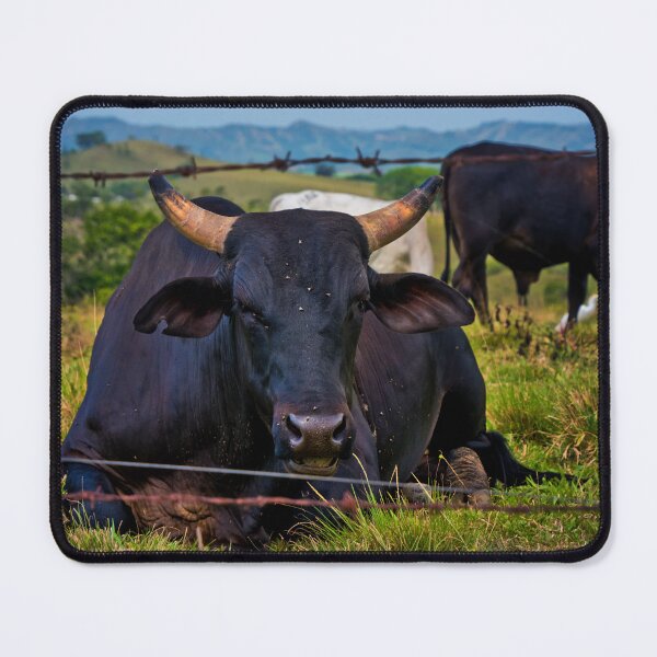 Item preview, Ground Beef Near La Marina designed and sold by alabca.