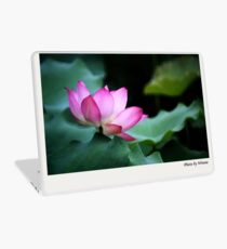 Water Lily by Winnie Laptop Skin