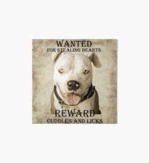 Wanted Art Board