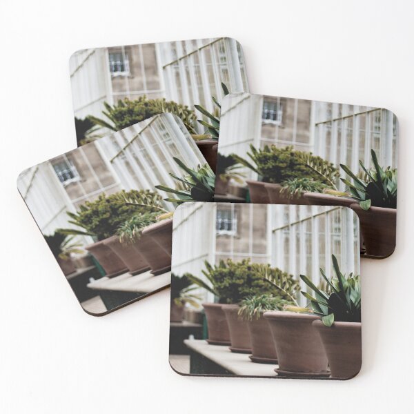 Item preview, Potted plants designed and sold by frankieophelia.