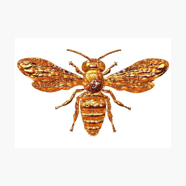 Item preview, Cute bee designed and sold by Elonium.