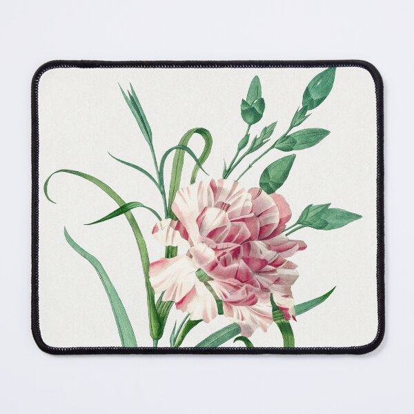 Item preview, Carnation by Pierre-Joseph Redoute designed and sold by InHerits.