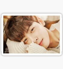 Pegatina cha eunwoo