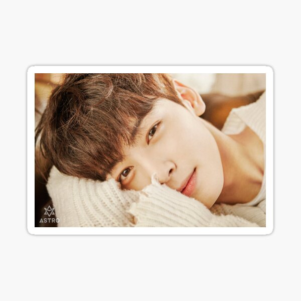 cha eunwoo Pegatina