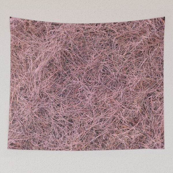 Item preview, Pink grass Photographic Print designed and sold by SSymo.