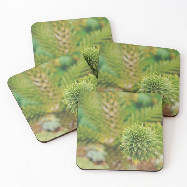 Item preview, Close-up of a monkey puzzle tree branch, Araucaria araucana designed and sold by CarolinaReina.