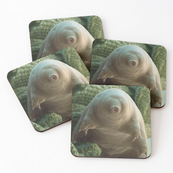 Item preview, Water Bear or Tardigrade in Moss Under the Microscope designed and sold by ScienceSource.