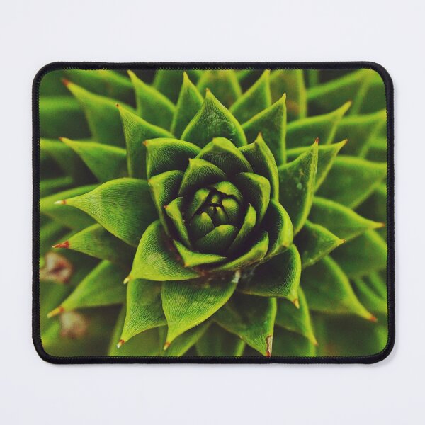 Item preview, Monkey Puzzle Succulent Plant Leaves designed and sold by CarolinaReina.
