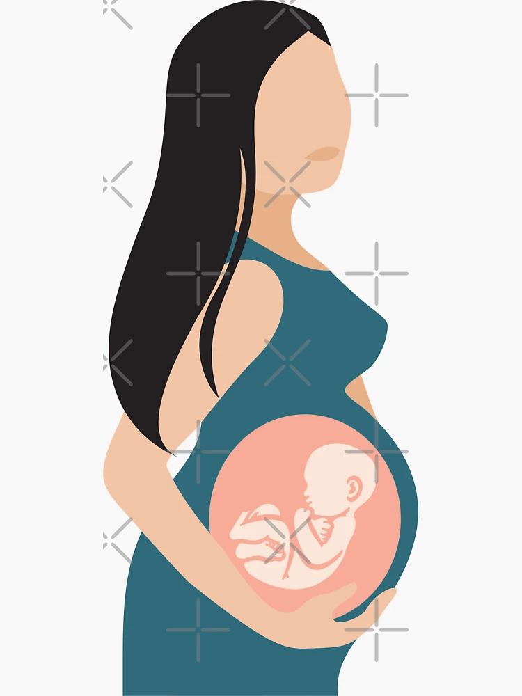 Pregnant Woman Cartoon In House Design, Belly Pregnancy Maternity