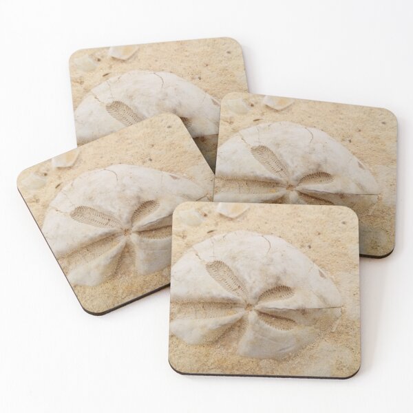 Item preview, Gozo Limestone fossil 1 designed and sold by Landreorama.