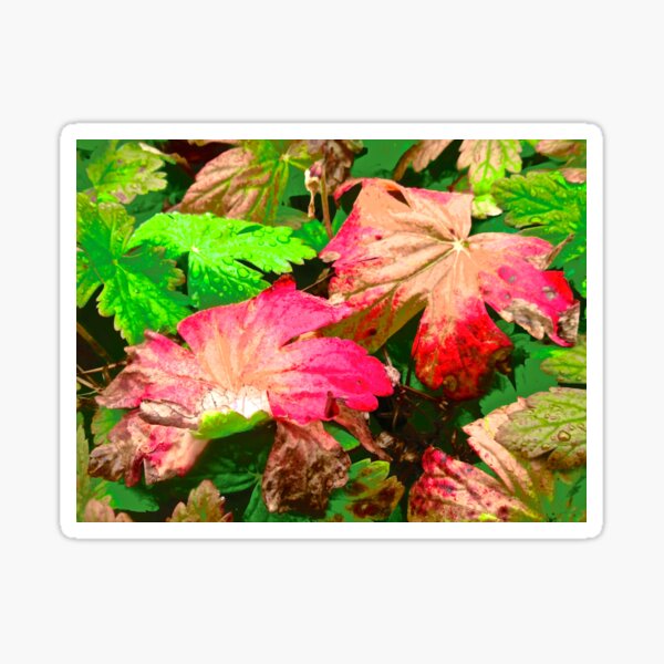 Item preview, Colourful leaves designed and sold by Shulie1.