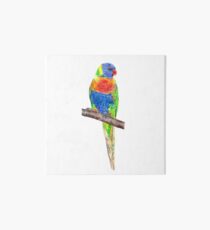Rainbow Lorikeet Art Board