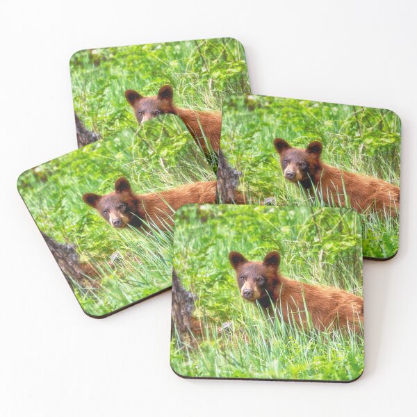 Item preview, Young Black Bear designed and sold by Kathy Weaver.