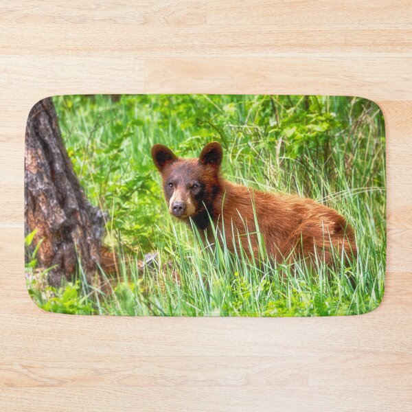 Item preview, Young Black Bear designed and sold by Kathy Weaver.