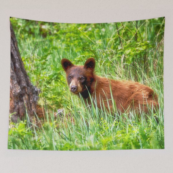 Item preview, Young Black Bear designed and sold by Kathy Weaver.