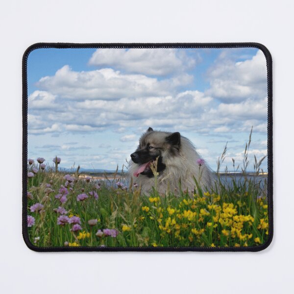 Item preview, Keeshond amongst the flowers designed and sold by Violaman.