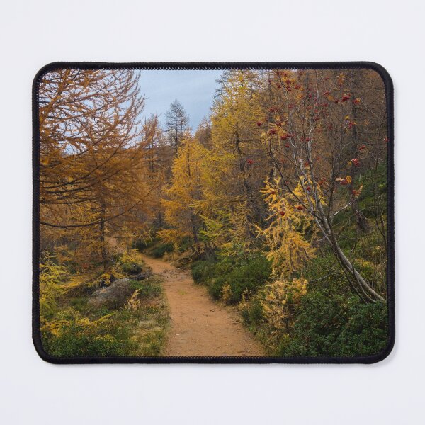 Item preview, track designed and sold by paolo amiotti.