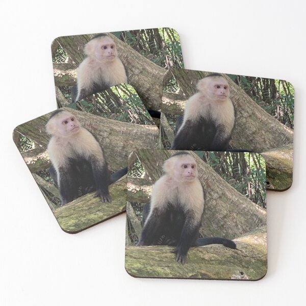 Item preview, Wild Capuchin Monkey designed and sold by Taranodongirl7.