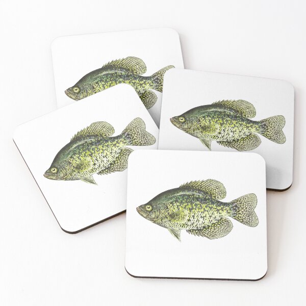 Item preview, Crappie fish fishing illustration designed and sold by Pixelmatrix.