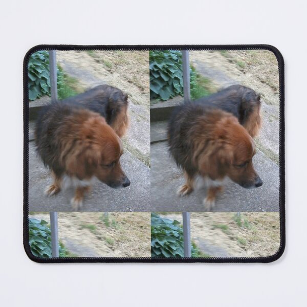 Item preview, Coda pretty dog designed and sold by cameony.