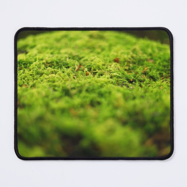 Item preview, The fascinating beauty of moss designed and sold by Sara Sanchez PHOTO.