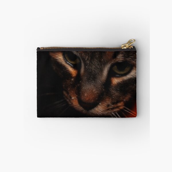 Artikelvorschau, Water Drops On Kitty entworfen und verkauft von Creative Captures.