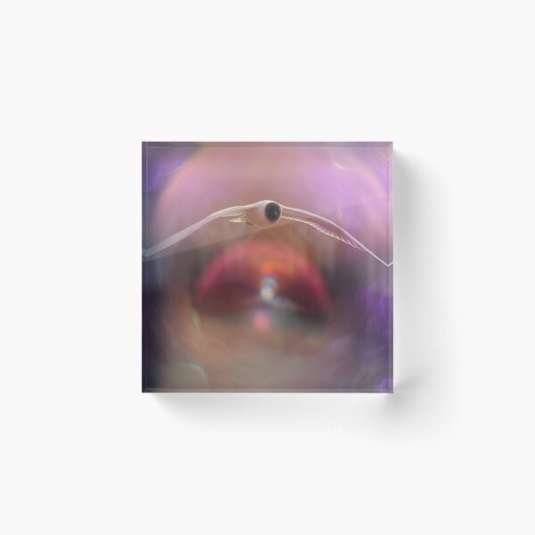Item preview, Black headed gull with helios flare and bokeh designed and sold by bokehlein.