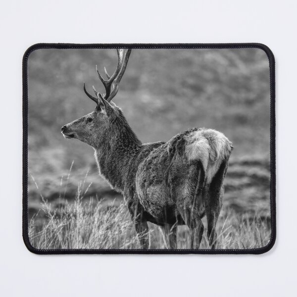 Item preview, Red Deer Stag with Big Antlers designed and sold by derekbeattie.
