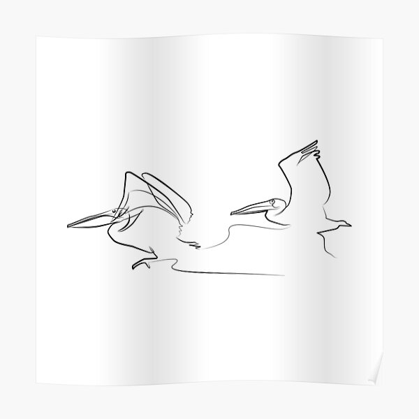 Flying Pelicans One Line Art Poster By Evk Art Redbubble