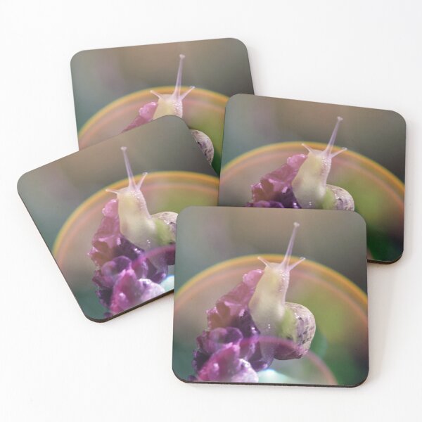 Item preview, Snail in flare designed and sold by bokehlein.