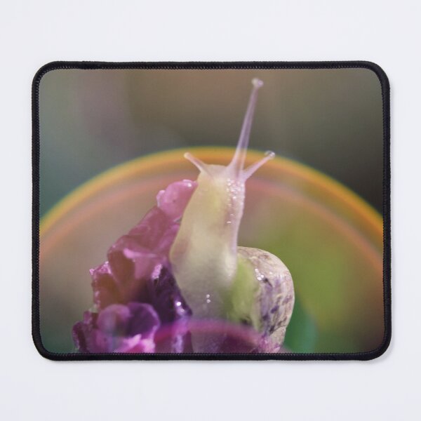 Item preview, Snail in flare designed and sold by bokehlein.