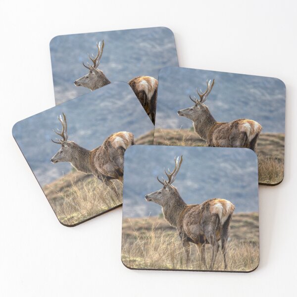 Item preview, Red Deer Stag with Big Antlers designed and sold by derekbeattie.