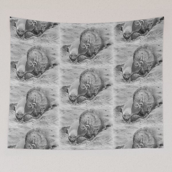 Item preview, Elephant Seal Throws a Little Sand designed and sold by CarolM.