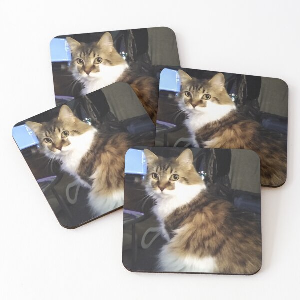 Item preview, Bonito gato Gizmo designed and sold by cameony.