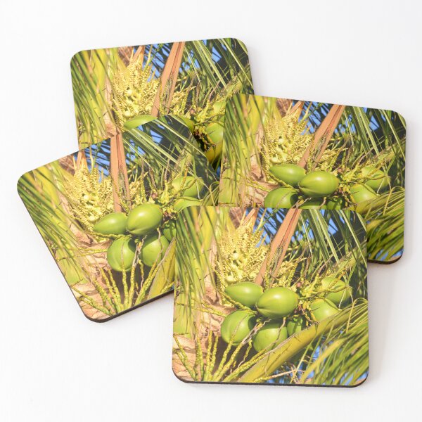 Item preview, Coconuts designed and sold by David Lee Thompson.