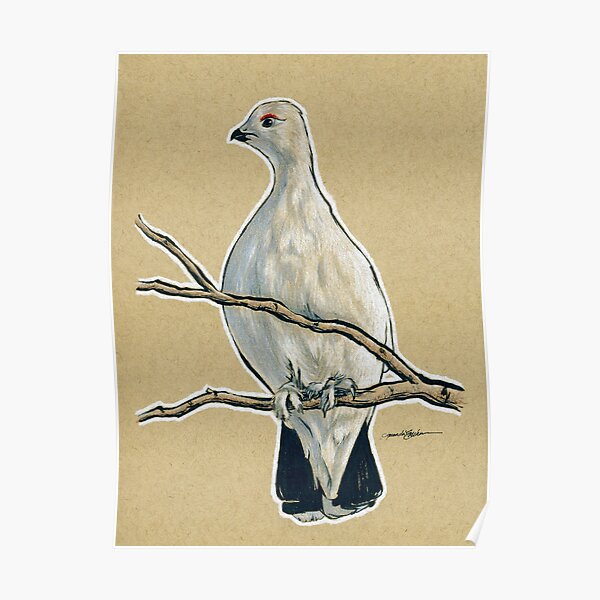 State Bird Series: Alaska - Willow Ptarmigan Poster