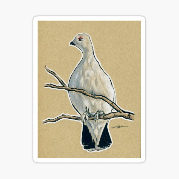 State Bird Series: Alaska - Willow Ptarmigan Sticker