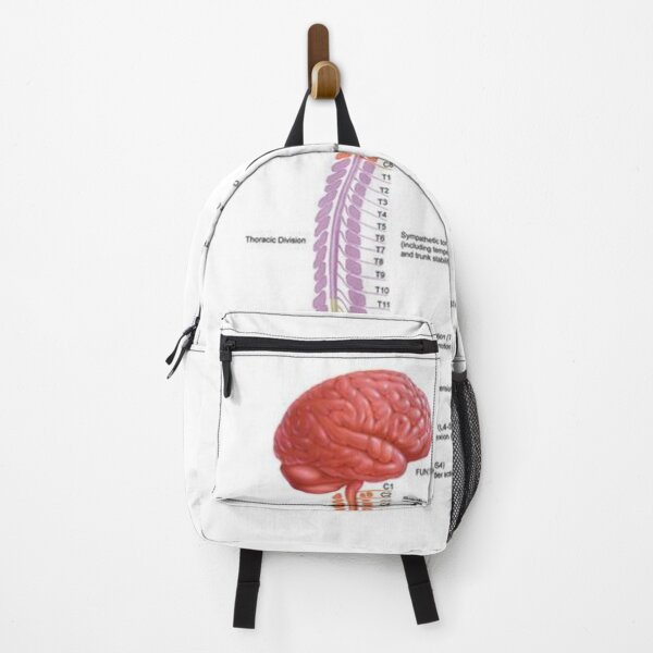 Item preview, Human Vertebral Anatomy .. designed and sold by Link2Link.