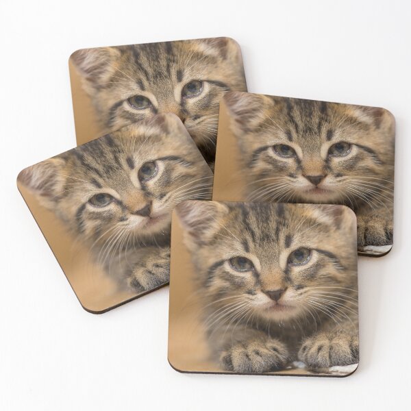 Item preview, Cute fuzzy sleepy kitten designed and sold by noblephoto.
