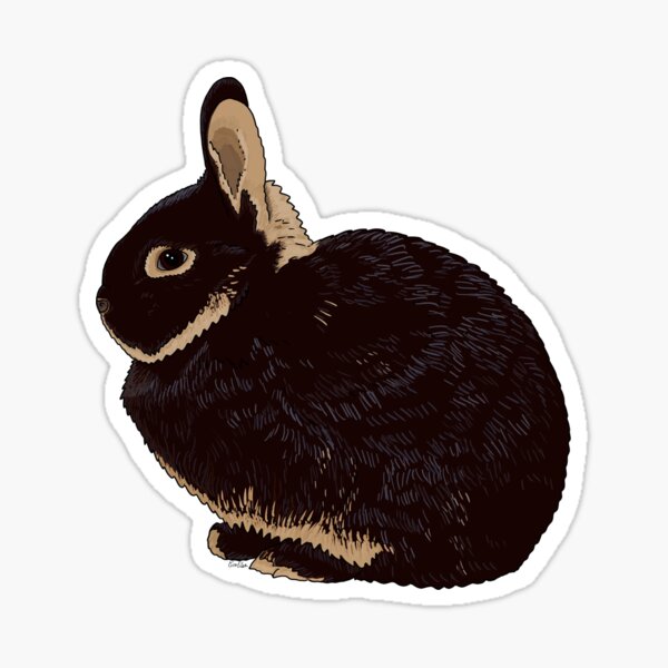 Netherland Dwarf Rabbit - Black and Tan Dwarf Rabbit - Dwarf Rabbit Sticker