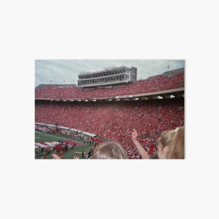 WISCONSIN FOOTBALL FILM Art Board Print